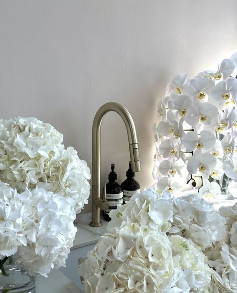 White Hydrangea Aesthetic, White Floral Aesthetic, Hydrangeas Aesthetic, Aesthetic Hydrangea, Caitlyn Core, Hydrangea Aesthetic, White Hydrangea Bouquet, Wellness Girl, Hydrangea White