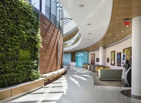 Gallery of AIA Announces Winners of National Healthcare Design Awards - 8 Biophilic Healthcare Design, Biophilic Design Hospital, Health Care Design, Healthcare Interior Design, Therapy Center, Interior Design Institute, Hospital Architecture, Healthcare Architecture, Hospital Interior