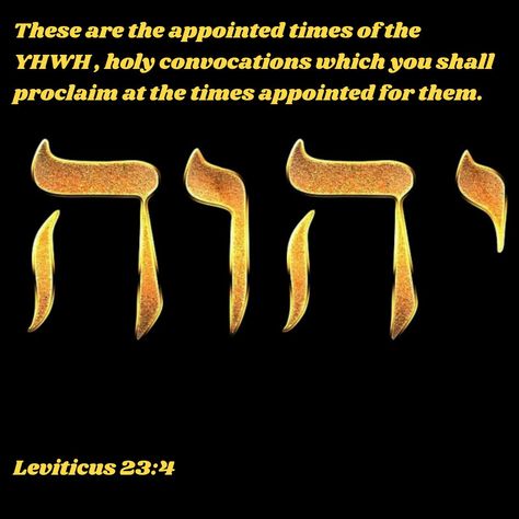 These are the appointed times of YHWH, holy convocations which you shall proclaim at the times appointed for them.  Leviticus 23:4 ~ while most Bible versions use the word LORD in this verse, it is important to understand that Bible translators chose not to use the Hebrew word YHWH (Hebrew letters yod hey vav hey) ~ everywhere you see LORD, it should be YHWH or YHVH ~ in this verse we see the appointed times belong to YHWH, they are His. If we are to honor Him, we need to keep His appointments. Yod Hey Vav Hey, Yhwh Hebrew, Torah Quotes, Leviticus 23, Learning Hebrew, Watch And Pray, Learn Hebrew, Hebrew Letters, God Father