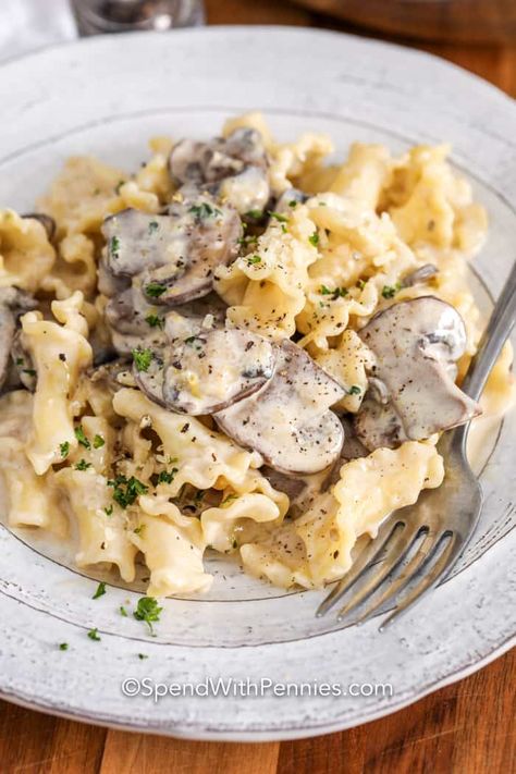 This campanelle recipe is topped with a creamy white sauce. Made with mushrooms, cheese, and heavy cream this sauce is the perfect creamy mushroom sauce. #spendwithpennies #mushroomcampanelle #pasta #mushroompasta #creamypasta #campanelle #maincourse Campanelle Pasta Recipes, Creamy Mushroom Sauce Recipe, Campanelle Pasta, Homemade Bolognese Sauce, Creamy White Wine Sauce, Vegan Mushroom Stroganoff, Mushroom Sauce Recipe, Goat Cheese Pasta, Mushroom Cream Sauces