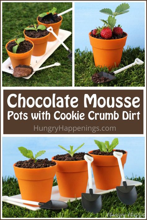 Here's a fun way to serve a decadently rich chocolate dessert for a garden party or a spring event. These Chocolate Mousse Pots with Cookie Crumb Dirt can be topped with sprigs of mint or tiny strawberries to look like terra cotta pots filled with little plants. Flower Pot Dessert Ideas, Plant Pot Dessert, Dirt Cake Flower Pot, Flower Pot Dessert Dirt Cups, Flower Pot Dessert, Dessert Garden, Dirt Recipe, Garden Dessert, Chocolate Dirt