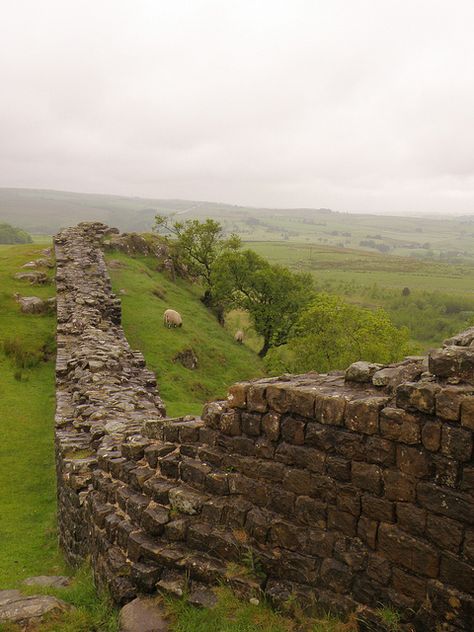 Ancient England, Northumberland England, Hadrian’s Wall, Hadrian's Wall, Roman Army, Roman Britain, Hadrians Wall, Sacred Architecture, England And Scotland