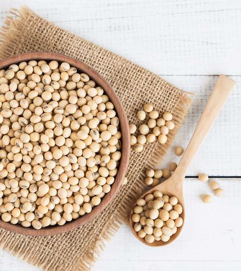 What Are The Health Benefits Of Soybeans + Nutrition Facts Soybean Benefits, Beetroot Juice Benefits, Turmeric Milk Benefits, Beetroot Benefits, Turmeric Milk, Soy Beans, Ayurvedic Remedies, Soya Bean, Organic Bath Products