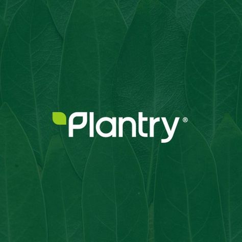 Discover Design Ideas & Graphic Design Inspiration | 99designs Wordmark Design, Plant Logo, Plant App, Logos Color, P Letter, Plant Logos, Plant Based Meal, Ideas Graphic Design, App Ideas