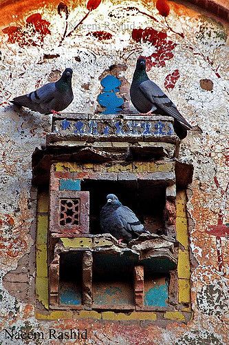 Lahore Fort, Pigeon Hole, Egypt Concept Art, City Life Photography, Bird House Feeder, Everyday Art, Art Deco Wallpaper, Indian Architecture, Artwork Images