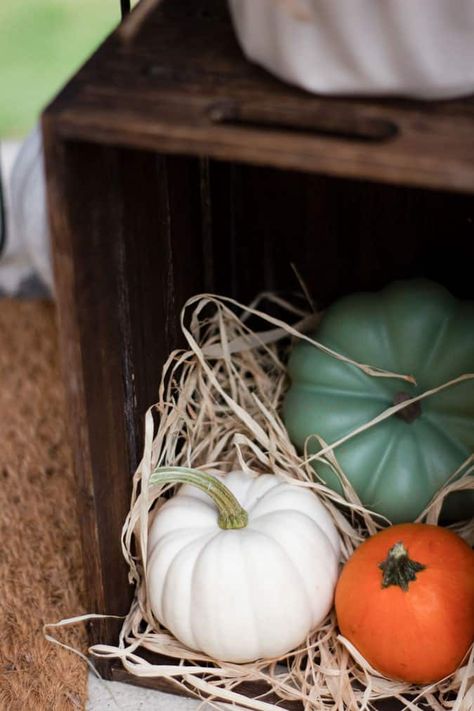 Add cozy fall decor to your tiny porch or apartment patio with these tips and tricks. Great ideas and inspiration for how to decorate a small patio or apartment landing. #myweeabode #tinyporch #apartmentpatio #apartmentlanding Apartment Porch, Purple Mums, Fall Apartment Decor, Fall Produce, Tiny Loft, Apartment Patio, Fall Kitchen Decor, White Pitcher, Cozy Fall Decor