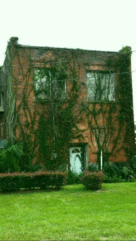 Overgrown Plants On Buildings, Abandoned Building Vines, Brick House With Ivy, Ivy On Building, Vines Growing On Wall, Vines On Building, Ivy On House, Moss Building, Entwined Art