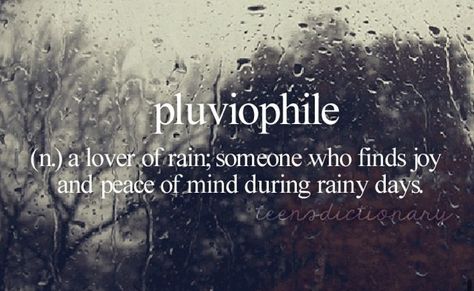 Pluvophile - loving the rain Teen Dictionary, Rain Storm, Rare Words, Word Of The Day, Wonderful Words, Rain Drops, New Words, Finding Joy, Rainy Days