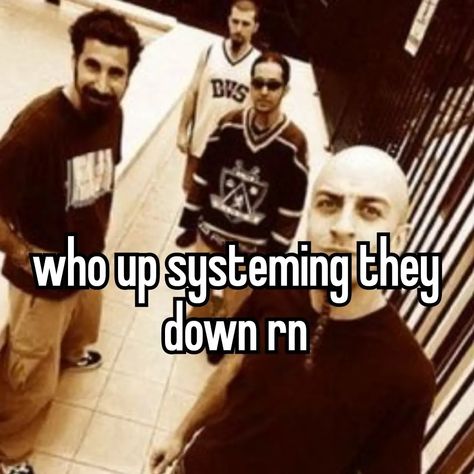 Funny System Of A Down, System Of The Down Memes, Slipknot Pfp Funny, System Of A Down Funny, Band Pfp, Serj Tankian, Silly Bands, System Of A Down, Band Humor