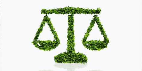 What You Need To Know About An Environmental Law Career Environmental Law Aesthetic, Environmental Lawyer, Environmental Science Major, Law Tattoo, Law Career, Lover Archetype, Writing Block, Law Firm Marketing, Lsat Prep