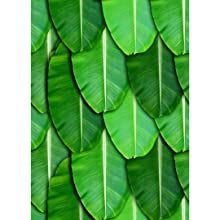 Banana Leaf Backdrop, Leaf Backdrop, Traditional Background, Big Banana, Pooja Decoration, Haldi Function, Banana Leaf Print, Lotus Print, Banana Print