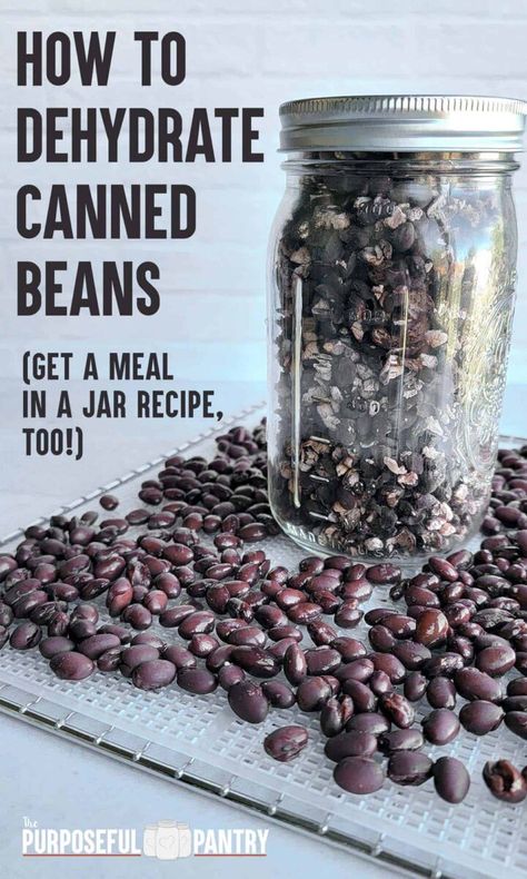 Camping Meals Easy, Emergency Meals, Meal In A Jar, Dehydrating Food Storage, Food Dehydration, Kinds Of Beans, Dehydrated Vegetables, Meals Easy, Dehydrated Fruit