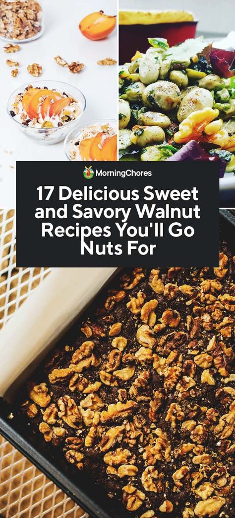 17 Delicious Sweet and Savory Walnut Recipes You'll Go Nuts For Walnut Recipes Dinner, Walnut Recipes Healthy, Nuts Nutrition, Chocolate Walnut Fudge, Walnut Chicken, Veggie Straws, Walnut Recipes, Make Breakfast, Healthy Grains