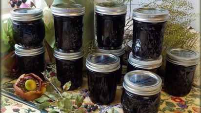 Service Berry Jam, Saskatoon Jam Recipe, Serviceberry Recipes, Saskatoon Berry Jam, Saskatoon Jam, Saskatoon Recipes, Service Berry, Berry Jam Recipe, 2024 Meals