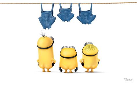 3 Minions Without Clothes Cartoon Fun HD Wallpaper,Hollywood Movies HD Wallpaper,Minions Movies HD Image,Cartoon Fun HD Wallpaper,Facebook Fun Images Minion Wallpaper Hd, Minion Pattern, Minions Images, 3 Minions, Minion Love, Minions Bob, Minions Minions, Minion Humor, Minions 2