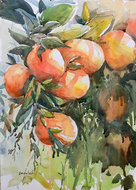 Mandarin oranges Watercolour by Brian Tai Fruit Drawings, Bag Painting, Mandarin Oranges, Fruits Drawing, Fruit Shop, Representational Art, Watercolor Fruit, Loose Watercolor, Watercolor Sketchbook