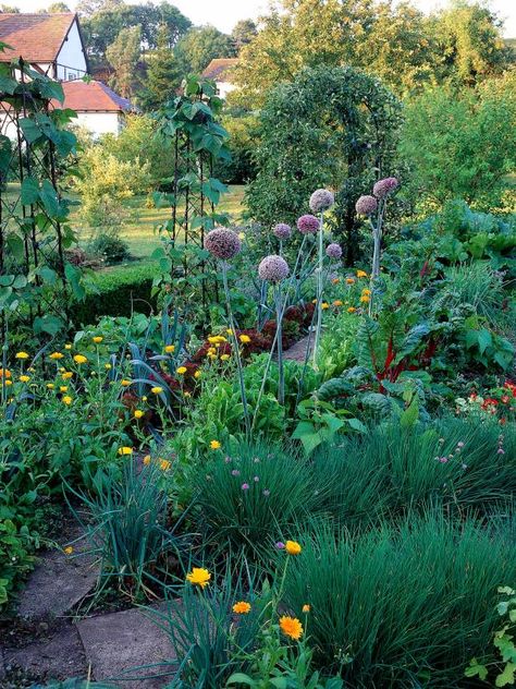 Step Garden, Garden Potager, Funny Vine, Edible Gardening, Veggie Gardens, Kitchen Gardens, Edible Gardens, Hgtv Garden, Garden Vines