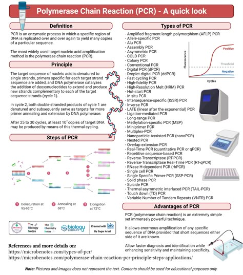 Polymerase Chain Reaction (PCR) Polymerase Chain Reaction Notes, Polymerase Chain Reaction, Pcr Technique, Microbiology Study, Microbiology Lab, Biochemistry Notes, Learn Biology, Organic Chemistry Study, Medical Laboratory Scientist