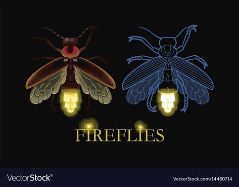 Firefly Drawing, Firefly Tattoo, Firefly Art, Insect Art, Seamless Pattern Vector, Firefly, Free Vector Images, Line Drawing, Art Inspo