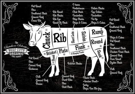 A simple and useful guide for meat cuts featuring beef cuts charts for United States and Brazil. In addition, you'll find out what cuts are the best for wet and dry cooking, American primal cuts of beef, Brazilian cuts of meat, and how to find those same cuts in the United States. Knives Tattoo, Beef Cuts Diagram, Deer Butchering, Beef Cuts Chart, Smothered Steak, Beef Barbecue, Beef Rump, Butcher's Cut, Beef Flank