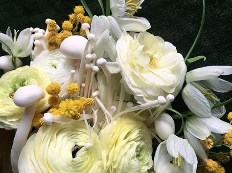 Textural diversity. Floral Arrangements With Mushrooms, Mushroom Flower Bouquet, Mushroom Flower Arrangements, Mushroom Floral Arrangement, Mushroom Wedding Bouquet, Mushroom Arrangement, Mushroom Bouquet, Mushroom Wedding, 2023 Bujo