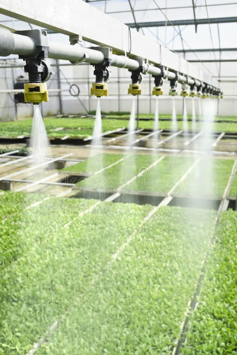 Earth Superpower, Watering Seedlings, Agriculture Pictures, Hydroponic Gardening System, Aqua Farm, Greenhouse Farming, Farming Technology, Garden Watering System, Indoor Farming