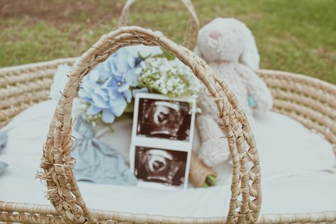 Cute simple bouquet gender reveal #babyboy #genderreveal #simple Instagram: @timelesss.photograph Gender Reveal Flowers, Flower Gender Reveal, Gender Reveal Pictures, Cute Simple, Simple Gender Reveal, Simple Bouquet, Gender Reveal Photos, Baby Bash, Baby Gender Reveal