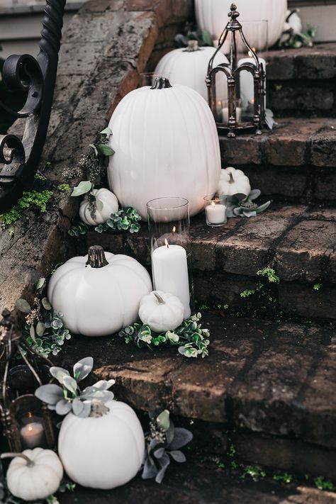 Fall Boho Wedding With Pumpkins, Black And White Fall Wedding Theme, Wedding Shower Fall Decorations, Weddings With Pumpkins, White And Black Fall Wedding, Halloween Wedding Inspiration, Pumpkin Patch Wedding Ideas, Wedding With Pumpkins Decorating Ideas, Pumpkin Decor For Wedding