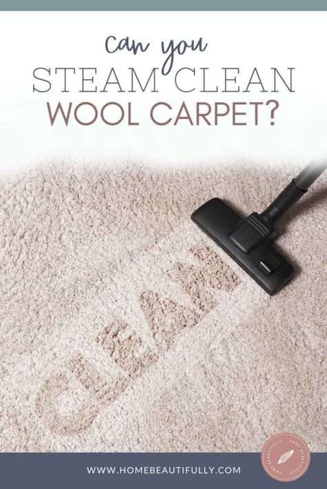 Cleaning Wool Rugs, Cleaning Wool Rugs Diy, How To Clean A Wool Rug At Home, How To Clean A Wool Rug, Rug Cleaning Solution, Clean Wool Rug, Carpet Steamer, Best Steam Cleaner, Steam Clean Carpet