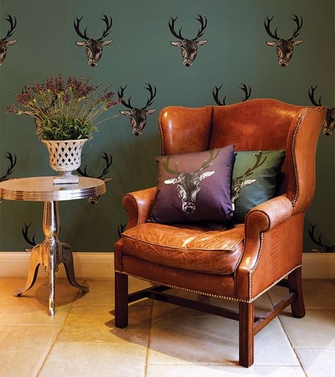 Bring the outside in with these wild wallcoverings that celebrate the animal kingdom. Stag Wallpaper, Plum Wallpaper, Stag Design, Country Lodge, Stag Head, Teal Wallpaper, Feature Walls, Wallpaper Direct, Grey Wallpaper