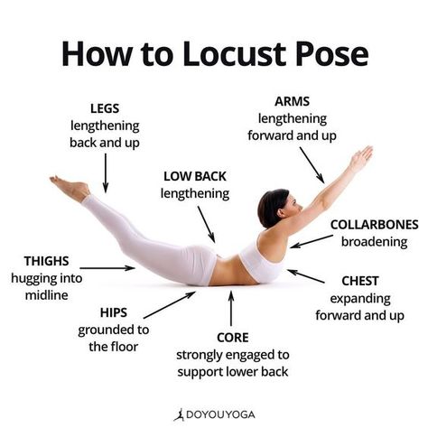 Locust Pose, Yoga Ashtanga, Yoga Nature, Yoga Anatomy, Yoga Kurse, Yoga Tutorial, Yoga Techniques, Frosé, Sup Yoga