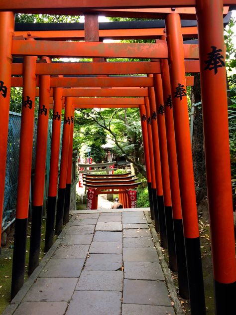 Kaneiji Temple, Ueno Park, Tokyo, Japan Tokyo Ueno Park, Ueno Park Tokyo, Yellow Park, Narita Japan, Tokyo With Kids, Japan Pictures, Grad Trip, Tokyo Aesthetic, Ueno Park