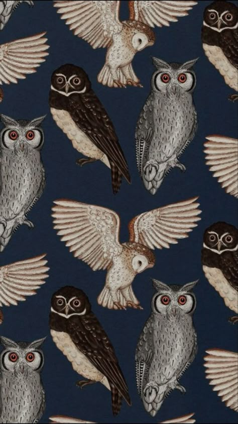 Katie Scott, Rose Tree, Owl Wallpaper, Mayfly, Graphisches Design, Owl Pattern, Owl Patterns, Owl Art, Arte Animal