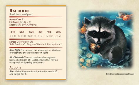 Made a Raccoon because I can! : UnearthedArcana Dungeons And Dragons Rules, Dnd Druid, Dnd Stats, Dnd Races, Dungeon Master's Guide, Beast Creature, Dnd Dragons, D D Monsters, One D