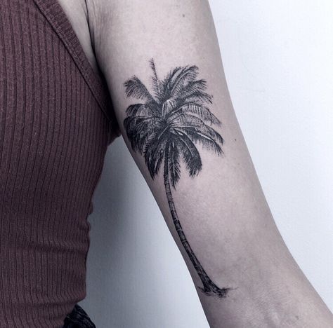 Palm tree , micro realistic , black and grey   Check my instagram : marked by elysse Realistic Palm Tree Tattoo, Tattoo Inspiration Men, Palm Tree Tattoo, Tree Tattoo, Small Tattoo, Stippling, Forearm Tattoo, Maple Leaf Tattoo, Palm Tree