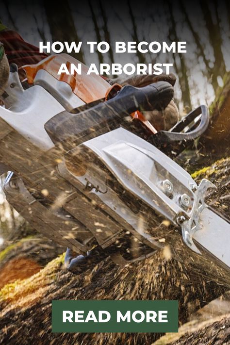 Learn how to become an arborist with our step-by-step guide. Turn your passion for trees into a rewarding career today! Never Stop Learning, First Job, Skills To Learn, Education And Training, Job Opportunities, Find A Job, Critical Thinking, Step Guide, How To Become