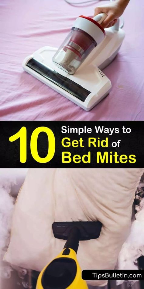 Kill Dust Mites, Dust Mite Spray, Bed Spray, Insect Repellent Homemade, Dust Mite Allergy, Diy Household Cleaners, Kill Bugs, Rid Of Bed Bugs, Mattress Cleaning