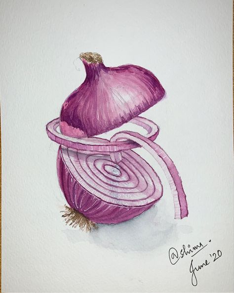 Red Onion Watercolor, Red Onion Painting, Veggie Painting, Vegetable Drawings, Onion Drawing, Fruit Drawing, Vegetable Drawing, Fruit Art Drawings, Food Art Painting