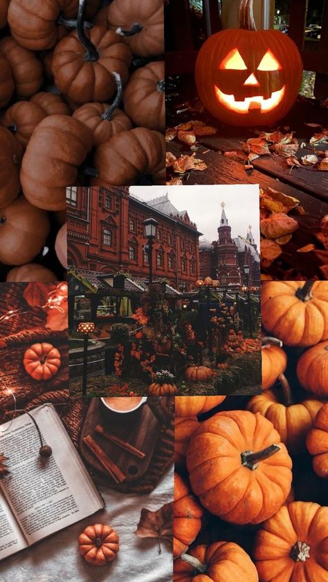 happy pumpkin season y'all! 🎃🕯️✨ Pumpkin Collage, Happy Pumpkin, Pumpkin Season, Pumpkin Seasoning, Fall Pictures, Fall Pumpkins, Pumpkins, Wallpapers, Collage