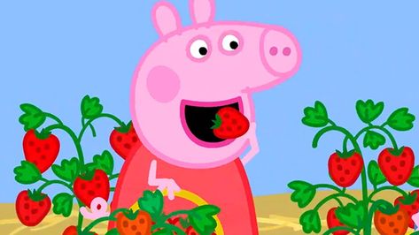 🔴Peppa Pig Official Channel | Peppa Pig Live | Peppa Pig English Episodes What’s YOUR favourite Peppa Pig episode? ☆ Subscribe for more videos: http://bit.ly/PeppaPigYT #PeppaPig #PeppaPigEnglish #Peppa#Official Peppa Pig ☆ Are you in the US? Buy our Peppa Pig DVD’s now! http://bit.ly/PeppaDVDsAmazon ☆ Watch more Peppa Pig – https://www.youtube.com/watch?v=zf4lsRicBVQ&list=PLFEgnf4tmQe_L3xlmtFwX8Qm5czqwCcVi 🔴 https://www.youtube.com/watch?v=vfMTu__b_xY&list=PLFE Peppa Pig Full Episodes, Peppa Pig Teddy, Rebecca Rabbit, Pig Gif, Peppa Pig Wallpaper, Peppa Pig Family, Pig Food, Pig Birthday Party, Pig Pictures