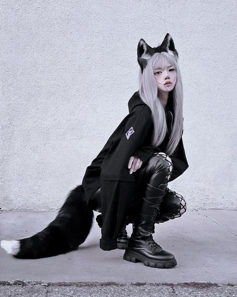 𝒯𝒽𝑒 𝐵𝓁𝒶𝒸𝓀 𝒲𝑜𝓁𝒻 Wolf Cosplay Female, Wolf Cosplay, Catwoman Cosplay, Halloween Photos, Black Wolf, Female Character, Animal Ears, Cosplay Ideas, Female Character Design