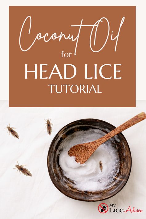 Home Lice Remedies, Natural Lice Remedies, Essential Oils For Lice, Lice Prevention Spray, Lice Spray, How To Treat Lice, Lice Remedies, Hair Lice, Lice Prevention