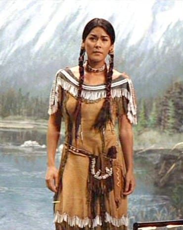 American Indian Girl, Native American Dress, Native American Woman, Native American Clothing, Indian Pictures, Native American Pictures, Wilde Westen, Native American Artwork, Night At The Museum