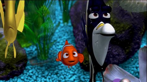 Finding Nemo Characters, Nemo And Dory, Finding Nemo 2003, Disney Finding Nemo, Disney Gifs, Clownfish, Star Wars Disney, The Great Barrier Reef, Film Disney