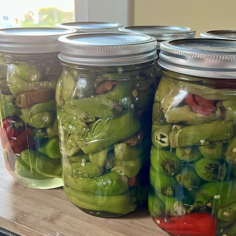 Pepperocini Peppers, Preserving Peppers, Pickled Pepperoncini, Pickled Banana Peppers, Canning Tools, Can Food, Stuffed Anaheim Peppers, From Farm To Table, Pepperoncini Peppers