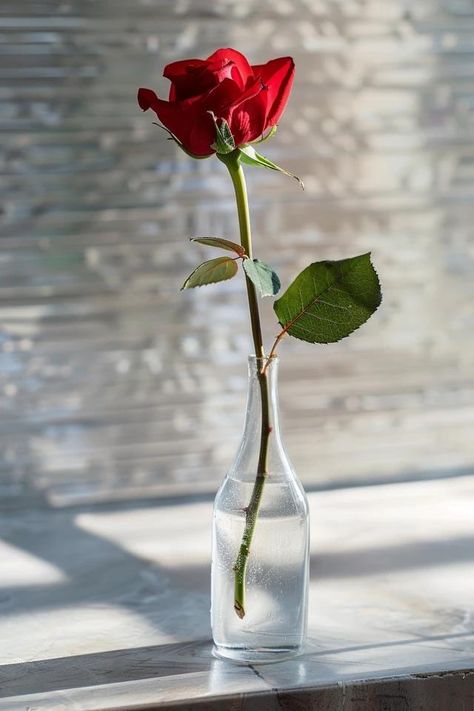 How To Take Care Of A Rose In A Vase: Extending Freshness Rose In A Vase, Homemade Flower Food, Roses In A Vase, Floral Preservation, Industrial Minimalist, Bohemian Coastal, Rose Arrangements, Rose Vase, One Rose