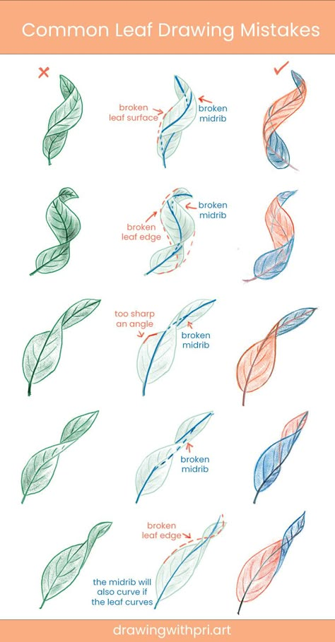 Plants Drawing Tutorial, Flower Types Drawing, Plant Tutorial Drawing, Painting Leaves Tutorial, Plants Reference Drawing, 3d Leaves Drawing, Beautiful Leaves Drawing, How To Draw A Plant, Drawing Of Leaves Sketches