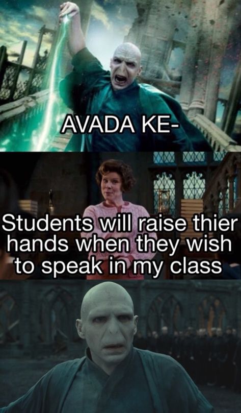 their* Harry Potter Funny Pictures, Harry Potter Voldemort, Glume Harry Potter, Funny Harry Potter Jokes, Harry Potter Memes Hilarious, Harry Potter Puns, Funny Harry Potter, Harry Potter Spells, Harry Potter Feels