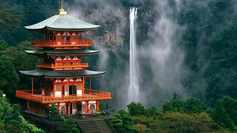 Tranquil, spiritually rich and full of breathtaking natural wonders, Wakayama is Japan's best kept secret. Here are seven ways to get to know this remarkable destination and start planning your Wakayama getaway! Nachi Falls, Japanese Temple, Wakayama, Niigata, Hiroshima, Places Around The World, Pilgrimage, Nature Travel, Japan Travel