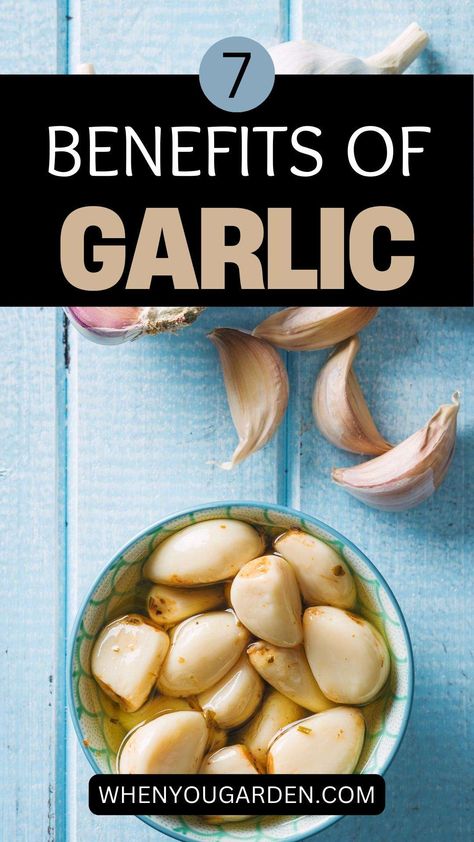 Benefits of Garlic Garlic Health, Benefits Of Garlic, Cloves Benefits, Baby Cough Remedies, Dry Cough Remedies, Garlic Health Benefits, Garlic Benefits, Raw Garlic, Natural Kitchen